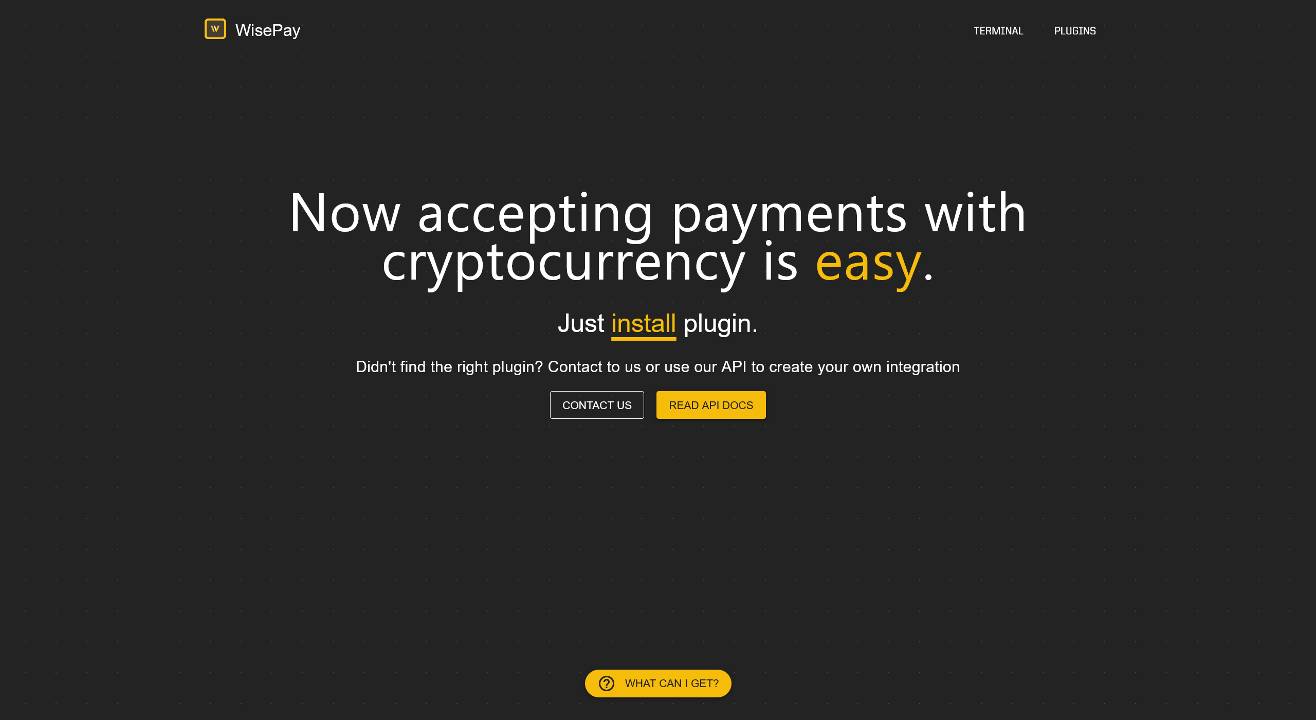 WisePay marketing landing page