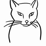 Draw a cat. (1).webp